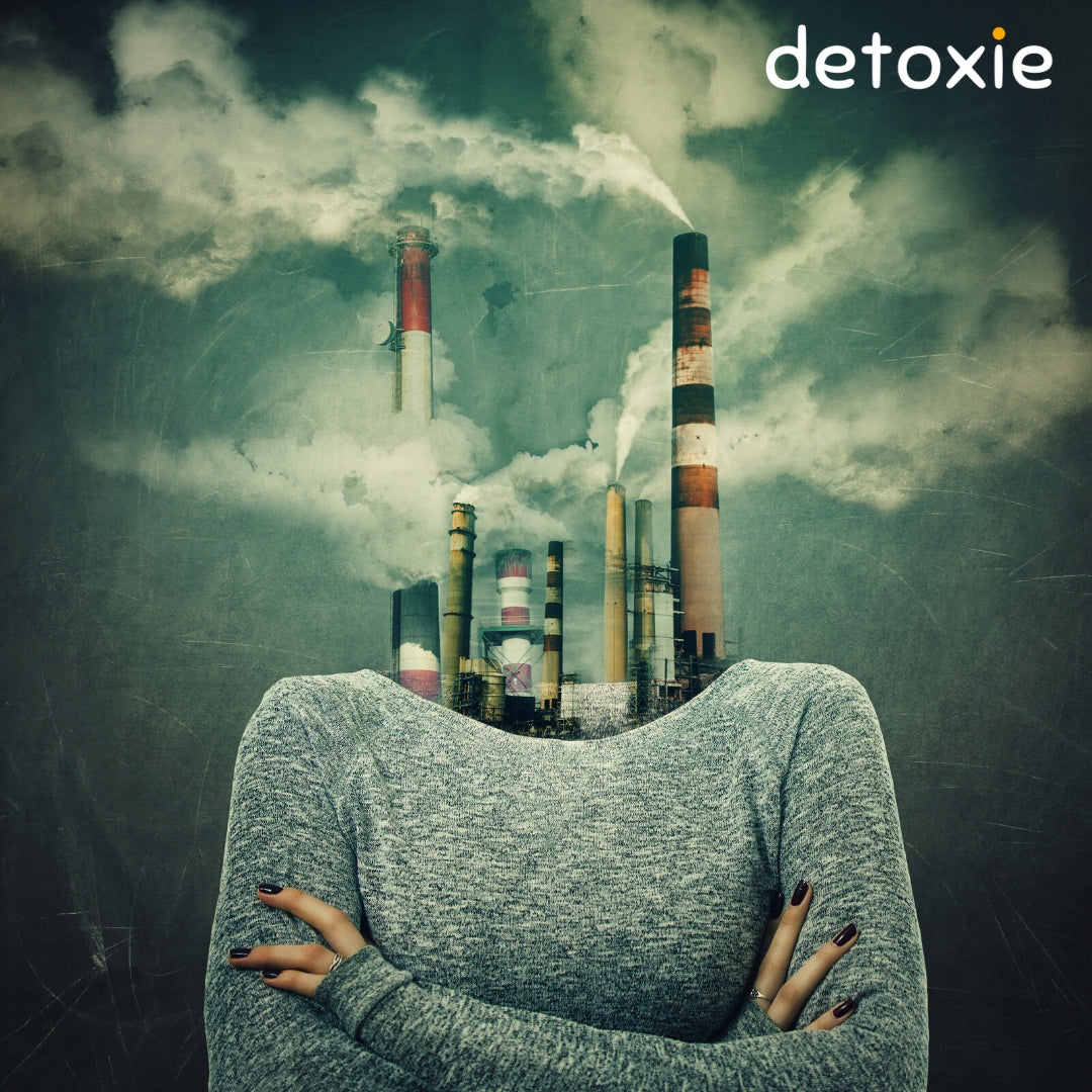 The Effects of Air Pollution on Human Health